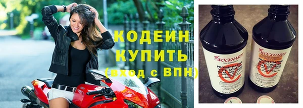 гидра Гусь-Хрустальный