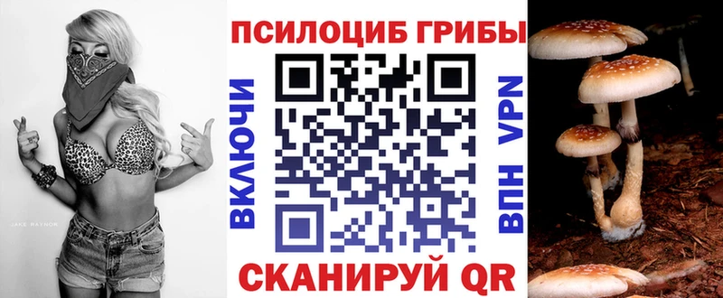 Псилоцибиновые грибы прущие грибы  наркошоп  Болохово 